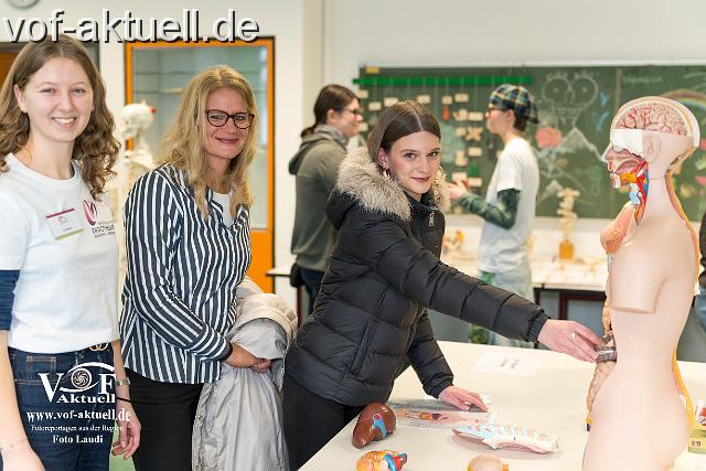 Foto Laudi_Ergo_VOF-46.jpg